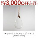 【7/30限定!店内全品ポイント2倍!更にお得なクーポン有】テラリウム ハンギング Φ14.5×28.5cm | ハンギング テラリウム 植木鉢 インテリア ポ...