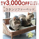 【最大3000円OFFクーポン※スーパーSALE】ペット用ラタンソファーベッド | ペット用 ソファー 籐 ラタン ベッド ネコ 犬 猫 ペット ペットソファー...