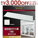 単品 ガラス棚 1枚 コレクションラック用 透明クリア素材 高級感 シンプルデザイン 強化ガラス使用 耐久性抜群 サイズぴったり設計 収納力アップ 自由に高さ調...