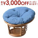 【最大3000円OFFクーポン※お買い物マラソン】スツール ペットチェア 人も座れる ペット椅子 ペットスツール 椅子 チェア チェアー ペット イヌ ネコ 犬...