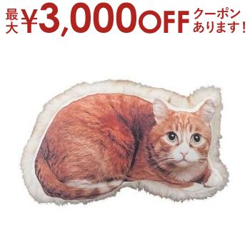å ͥ ǭ ͤ ǭ եե å cat ե դդ ǭ ץ ǥ   Ū ...
