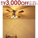 【最大3000円OFFクーポン有!9/20限定、店内全品PT2倍】送料無料 シーリングファン フィラメントLED付 | シーリングファン シーリング ファン 電...