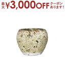 【最大3000円OFFクーポン※お買い物マラソン】送料無料 ガーデンポット S | ガーデン用品 インテリアグリーン 花器 プランター 暮らし 彩り おしゃれ ...