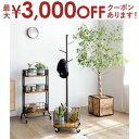 【最大3000円OFFクーポン※お買い物マラソン】収納カゴ付き ポールハンガー パインウッド×アイアン 高さ137cm コートハンガー ハンガーポール ハンガーラック 帽子 玄関 帽子掛け ワイヤーラック ハット マフラー 子供部屋 アンティーク オイルステイン