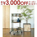 【最大3000円OFFクーポン※スーパーSALE】ワゴン キャスター付き ビーワイケージワゴン インテリア