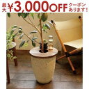 【最大3000円OFFクーポン※スーパーSALE】プランツテーブルサークル 30cm サイドテーブル用品 インテリア用品 植木鉢用品 観葉植物用テーブル 円形テ...