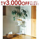 【最大3000円OFFクーポン※スーパーSALE】アンテナ プランツ ラック S 植木鉢 スタンド 棚 3段 プランター スタンド 室内 高床式 台 小さめ ス...