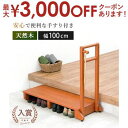 【最大3000円OFFクーポン※お買い物マラソン】手すり付き 玄関踏み台 片側タイプ 安全性抜群 片側手すりで安定感 高さ調整可能 軽量 収納簡単 省スペース設...
