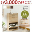 【最大3000円OFFクーポン※スーパーSALE】フラップ扉式 シューズラック RSR-1704 2段タイプ 最大12足収納 幅62×奥行24×高さ99cm ス...