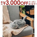 【最大3000円OFFクーポン※スーパーSALE】湯たんぽ 蓄熱式 ねこ湯たんぽ 充電式 蓄熱式湯たんぽ 充電式湯たんぽ ぬくぬく エコ LCAWA004 あっ...