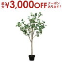 【7/30限定!店内全品ポイント2倍!更にお得なクーポン有】フェイクグリーン ユーカリ | 人工植物 造花 フェイク グリーン インテリア カフェ風 おしゃれ ...
