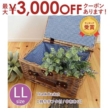 【最大3000円OFFクーポン※スーパーSALE】トランクバ