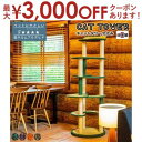 【7/30限定!店内全品ポイント2倍!更にお得なクーポン有】キャットタワー 国産 【Tatami】たたみ みどり むらさき おれんじ ちゃいろ