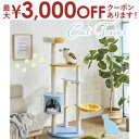 【最大3000円OFFクーポン※お買い物マラソン】パステルブルー色のキュートなキャットタワー | キャットタワー パステル ネコ ねこ 猫 スリム 据え置き お...