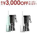 【最大3000円OFFクーポン※お買い物マラソン】フィリップス ソニッケアー HX3826 | PHILIPS コードレス PF3000 HX3826/31 ホ...