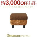 【最大3000円OFFクーポン※お買い物マラソン】スタンダードソファ デザインソファ ホテルやサロン、オフィスにも 高級リラクシングヒヤシンスソファ オットマン
