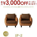 【最大3000円OFFクーポン※スーパーSALE】スタンダードソファ デザインソファ ホテルやサロン、オフィスにも 高級リラクシングヒヤシンスソファ ソファ2点...