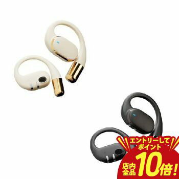 【エントリーでP10倍！クーポン有！スーパーSALE】ピージーエー ワイヤレスイヤホン PG-BTE20AR | PGA ..