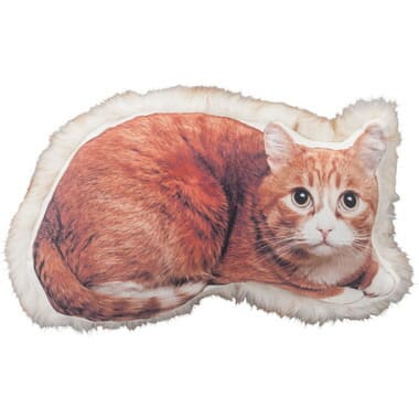 å ͥ ǭ ͤ ǭ եե å cat ե դդ ǭ ץ ǥ   Ū ...