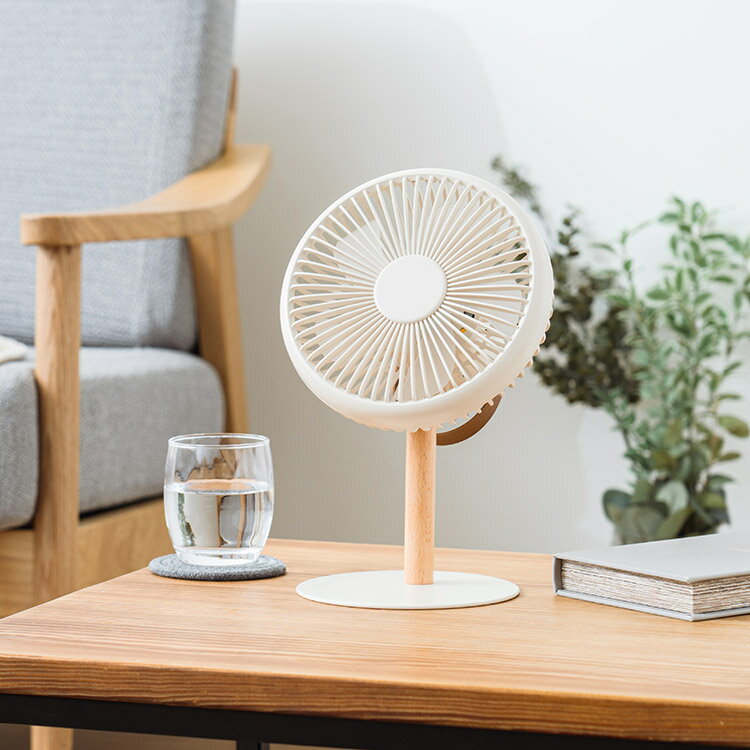 【最大3,000円OFFクーポン有！PT3倍！ブラックフライデー】ミニリビングファン LEDライト付 PBAF003 3..
