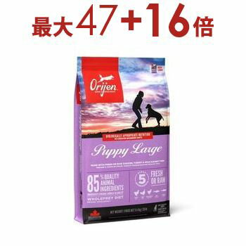 オリジンキャットドッグおいしい美味...