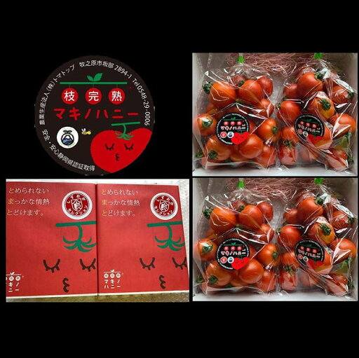 【産直商品】牧之原市産・枝完熟トマト「マキノハニー」1.1kg×2箱 計2.2kg トマトップ ※ 12月初旬から順次発送 【産直商品】牧之原市産・枝完熟トマト「マキノハニー」1.1kg×2箱 計2.2kg トマトップ ※ 12月初旬から順次発送