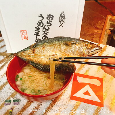 ふじのくに おいしい処 静岡 【産直商品】【焼津鯖ラーメン9食セット】(塩味3食・醤油味3食・味噌味3食) 画像2