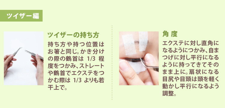 �ޤĤ��������� �ĥ������ʥ��ȥ졼�ȡ� (�᡼���ز�) �ޥĥ��� �Ť�16g ���ƥ�쥹 �ĥ������� �ĥ����� �ĥ�����