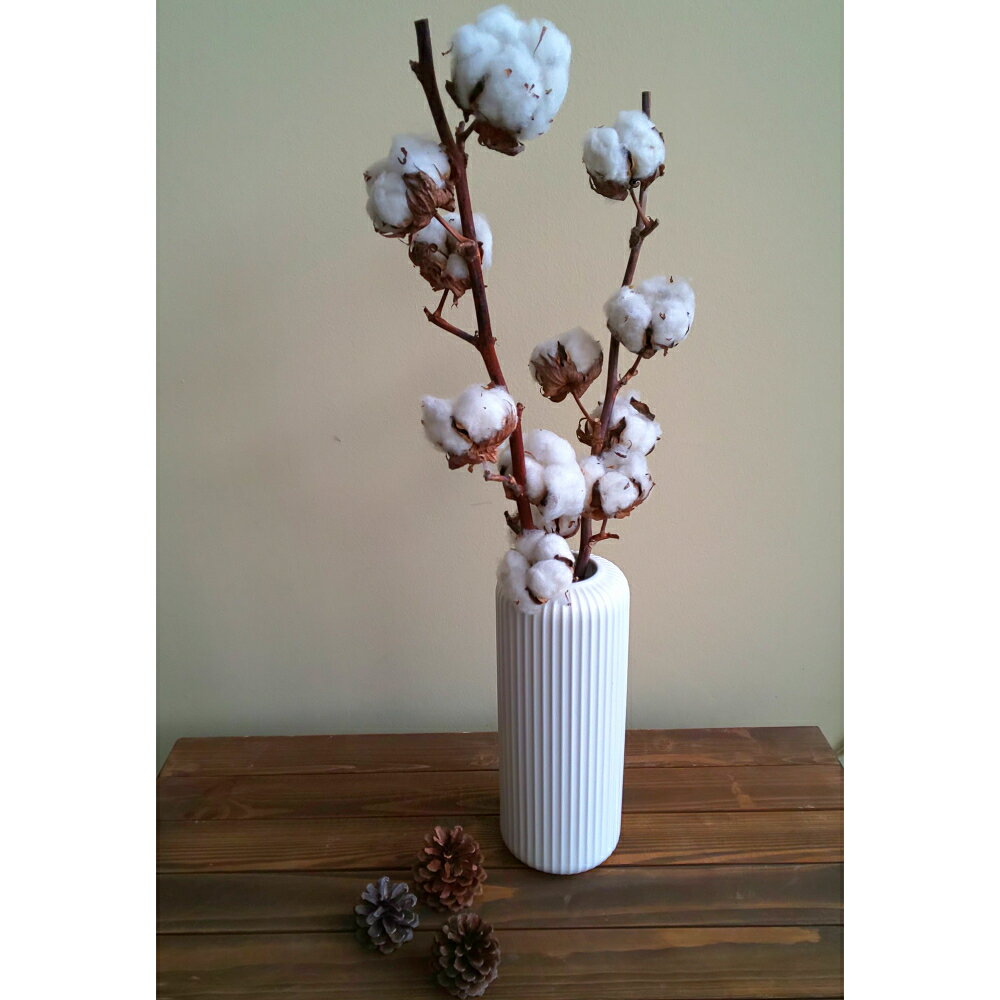 �ڥɥ饤���åȥ�ե� 2���ȥ��åȡۥܥ�塼�ि�äפ�5�إåɥɥ饤�ե� �꡼�� ����å� ���åȥ󤪤���� ����ƥꥢ