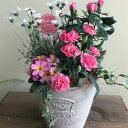母の日 カーネーションの寄せ植え ピンクのカーネーション 季節の寄せ植え 鉢植え 苗 寄せ植え おしゃれ かわいい 華やか ガーデン 新築祝い 開店祝い 季節の...