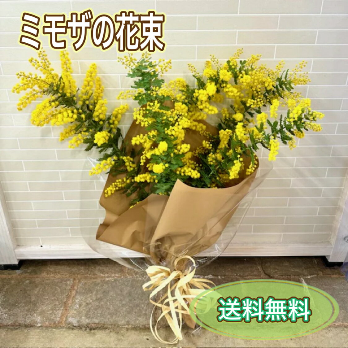 【国産のミモザをお届け】ミモザの花束 長さ約60cm ロングサイズ 5本束 ミモザ 花束 スワッグ フレッシュ 生花 お花 贈り物 おしゃれ かわいい ギフト バレンタイン ホワイトデー 卒業式 誕生日 送別 感謝 季節の花 春　インテリアのサムネイル