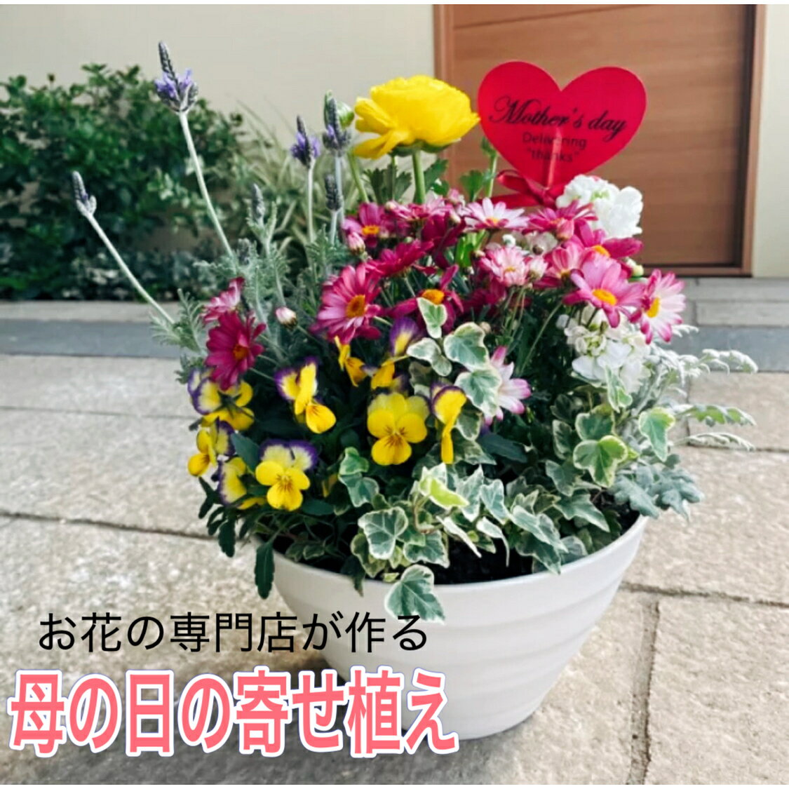 かわいいフラワーギフト 【母の日専用ピック付き！】花いっぱいの寄せ植え管理方法付きでプレゼントに最適♪母の日 寄せ植え 鉢植え プランター 苗 寄せ植え おしゃれ かわいい 華やか プレゼント ギフト ガーデン 贈り物 新築祝い 開店祝い 季節の花 春 夏 秋 玄関 外 鉢花