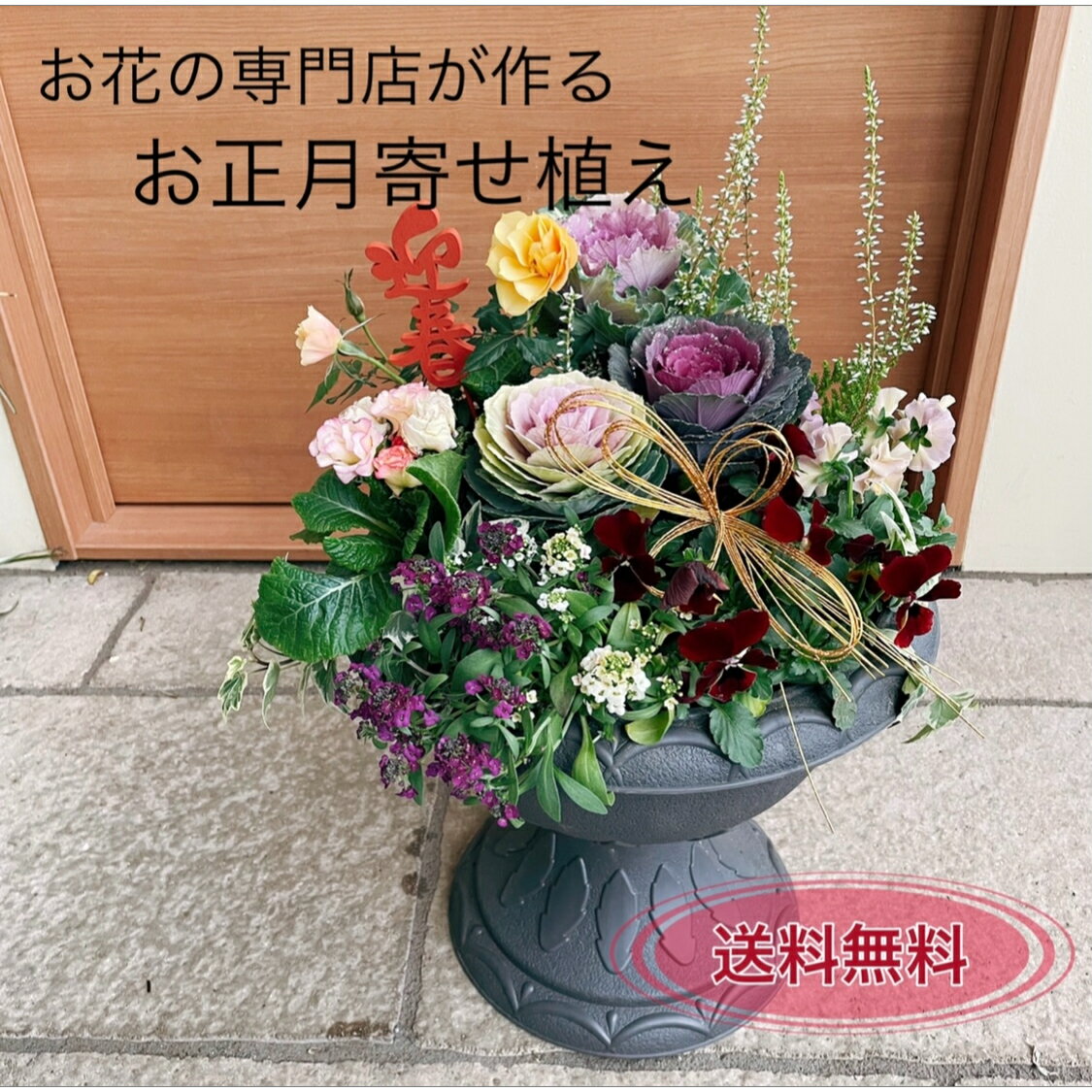 【縁起の良い葉牡丹の寄せ植え】お正月ピックと水引き付き！お正月寄せ植え お正月 正月 寄せ植え 葉牡丹 葉ボタン ギフト プレゼント 贈り物 鉢植え セット 花 花苗 季節の花 新年を迎える花 冬 玄関 玄関飾り 縁起が良い花 春まで長く咲く 寒さに強い