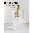 BULB VASE 水耕栽培 ガラスベース (ロングサイズ）ガラス 2way フラワーベース 花瓶 花器 おしゃれ インテリア シンプル 植物 球根 栽培 プレゼント ギフト 贈り物