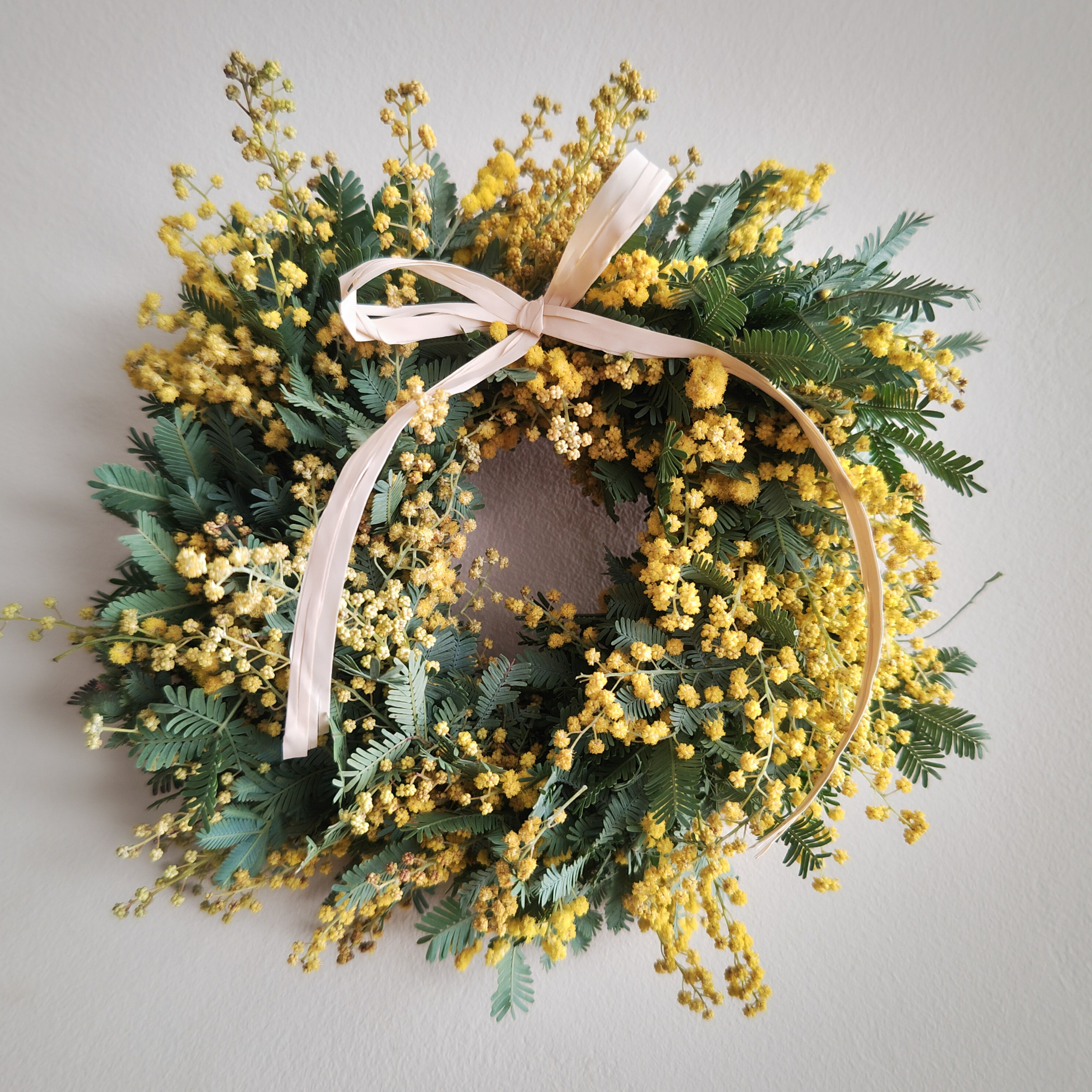 【ミモザのミニドライリース】専門BOx付き ミモザ 季節のリース ドライフラワー フラワー アレンジメント 癒し 魔除け お守り おしゃれ ナチュラル 壁飾り かわいい プレゼント ギフト 贈り物 インテリア 誕生日祝いのサムネイル