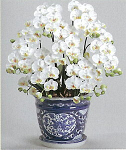 【本物のような造花】【光触媒】胡蝶蘭S 7本立ち