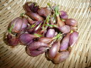 送料無料 ワケギ 小粒 分葱 球根 50粒前後位 兵庫県産 ※訳あり(球根の粒が小さいため)
