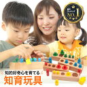 【月間優良ショップ4度目受賞】知育玩具 学習玩具 木製 子供 パズル 木製 おもちゃ 知育パズル モンテッソーリ教具 知育 知育おもちゃ 木の玩具 オモチャ 型はめパズル 木製パズル 男の子 女の子 幼児 3歳 4歳 5歳 6歳 誕生日 プレゼント お祝い 贈り物 ギフト【送料無料】