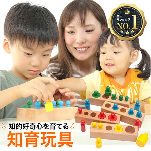 【 月間優良ショップ4度目受賞 】知育玩具 子供 パズル 木製 自宅待機 知育パズル モンテッソーリ教具 知育 おもちゃ 知育おもちゃ 木の玩具 木のおもちゃ オモチャ 型はめ 型はめパズル 木製パズル 男の子 女の子 幼児 3歳 4歳 5歳 6歳 誕生日 プレゼント 贈り物 ギフト