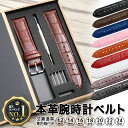 【 楽天6冠 】時計 ベルト 革 腕時計 牛革 本革 レザー