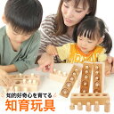 Gigamic ギガミック Katamino カタミノ 木製パズル 脳トレ 知育玩 200102/152501 ボードゲーム