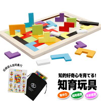 知育玩具 パズル 木製パズル モンテッソーリ教具 知育 暇つぶし 子供 室内 おもちゃ グッズ 知育おもちゃ 木の玩具 木のおもちゃ 型はめパズル 木のパズル 男の子 女の子 1歳 2歳 3歳 4歳〜 立体パズル 誕生日プレゼント ギフト 贈り物 入園祝い