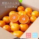 【先行予約】和歌山産　有田みかん　3kg　秀品(小玉)