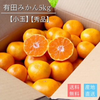 【2025年11月下旬ごろより順次発送】和歌山産 有田みかん 5kg 秀品(小玉)