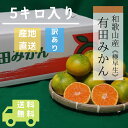【2025年10月中旬ごろより順次発送】和歌山産 極早生 5kg 【訳あり】(S〜Lサイズ混合)