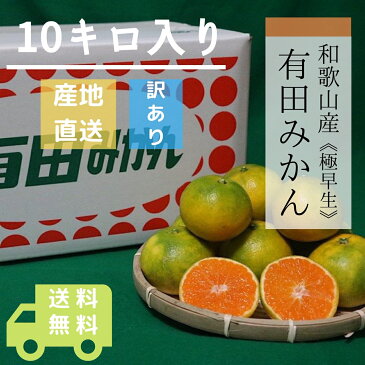 【産地直送】訳あり　和歌山県産　極早生　10kg　有田みかん　温州みかん　家庭用　薄皮　正月　こたつのおとも　冬のお供　旬のフルーツ　旬の果物　冬のフルーツ　冬の果物　冬の美味　甘い　甘酸っぱい　濃厚　濃い　紀州