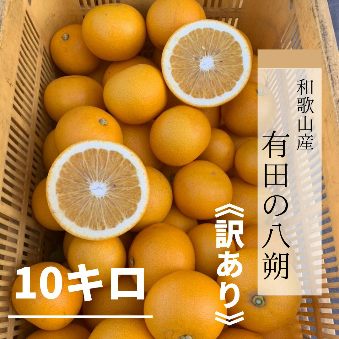 �²λ�����ͭ�Ļ���Ȭ��ʤϤä����ˡ������ꡡ10kg