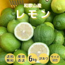 【産地直送】　和歌山県産　有田　レモン　訳あり　6kg　6キロ　わかやま　ありだ　国産　檸檬　れもん