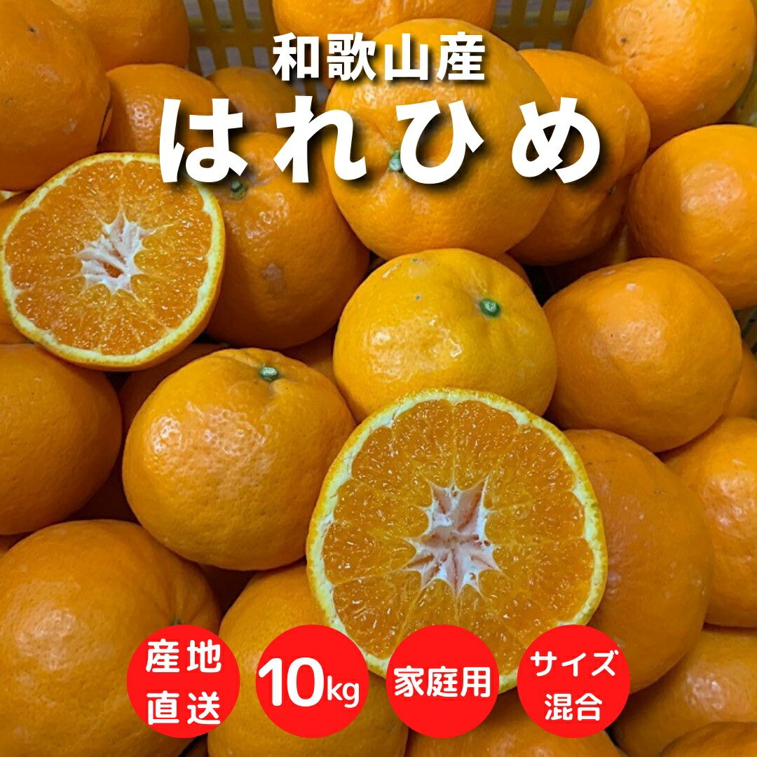 和歌山産　はれひめ　10kg　家庭用