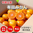 【2025年11月下旬ごろより順次発送】和歌山産 有田みかん 1kg 秀品(S〜Lサイズ混合)